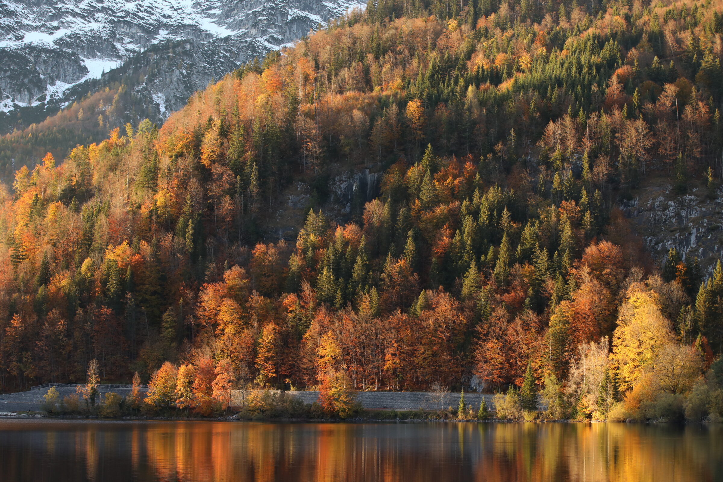 On the base of this picture is water reflecting the trees from a hill in a huge variety of autumn colours. In the back there are rocks of a higher mountains with snow.